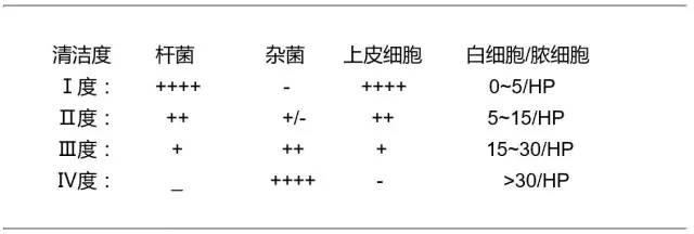 白带化验单怎么看